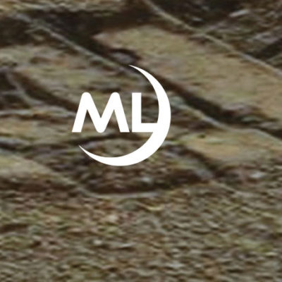 New Organisms on Mars