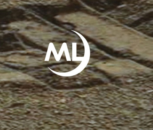 New Organisms on Mars